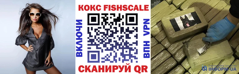 COCAIN Fish Scale  hydra ссылка  Волосово 