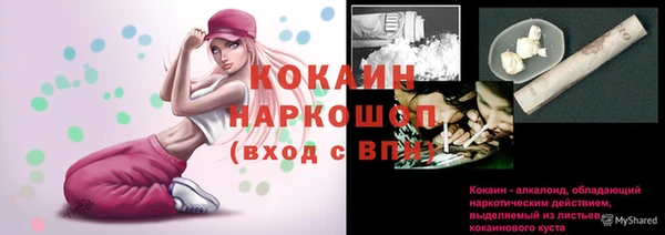 mix Снежногорск
